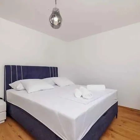 In 51443 *